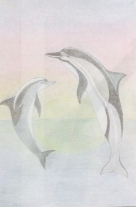 Alexis Meriwether Dolphins